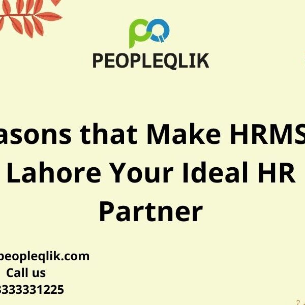 Reasons that Make HRMS in Lahore Your Ideal HR Partner